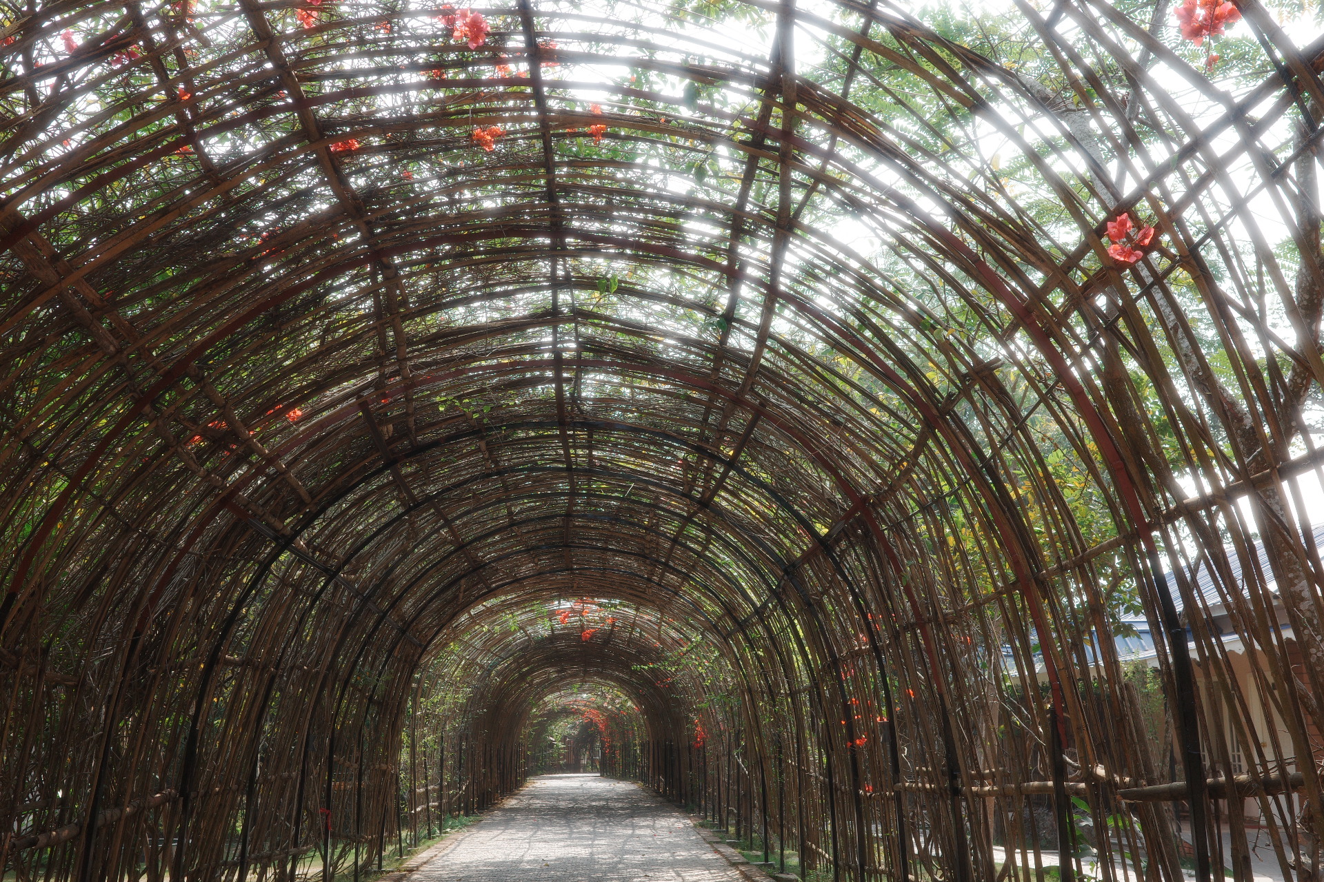 A dedicated camera again!